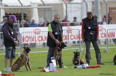 Remise des Prix 054.JPG - CHIENPLUS.COM